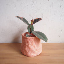 Load image into Gallery viewer, Sonora Storage Basket: Small
